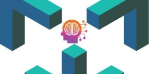 Website Design and Development Services