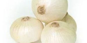 Fresh White Onion