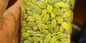 Green Cardamom