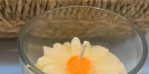 White Daisy Jar Candle