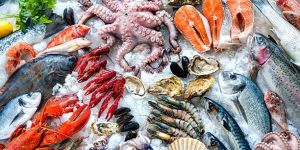 Frozen Seafood