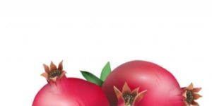 Pomegranate