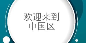 Chinese Translation Services