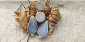 Organic Black Turmeric Powder