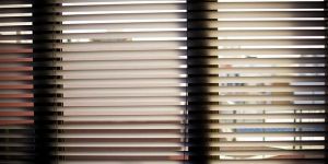 Window Blinds