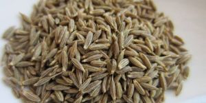 Cumin Seeds