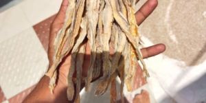 Dried Fish