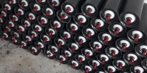 Conveyor Roller