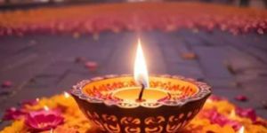 Pest Control Services