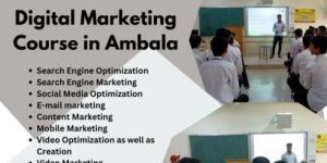 Best Digital Marketing Course in Ambala