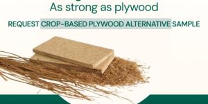 Eco-friendly Plywood
