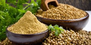 Coriander Seed