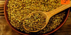 Fenugreek Seed