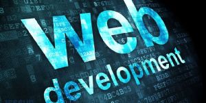 Expert Web Development Services - Starmeda