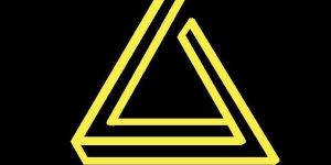 Calisthenics Training