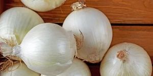 a Grade White Onion