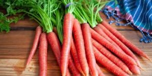 Organic Red Carrot