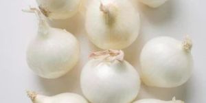 Small Size White Onion