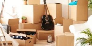 packer & mover services