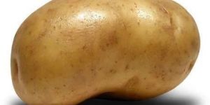 Fresh Potato