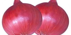Pink Onion