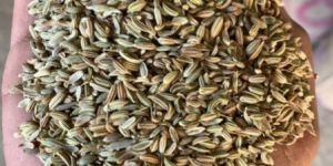 Fennel Seeds