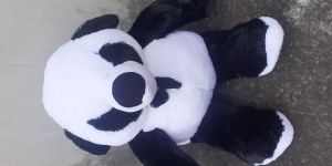 Panda Soft Toy