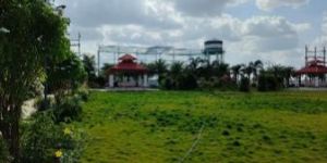 Bottle Greens Premium Plots