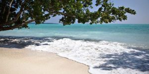 Tour Operator in Port Blair