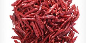 Red Chilli