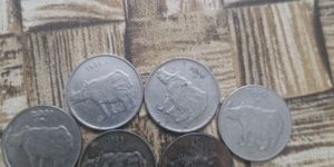Old Coins