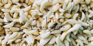 Fresh Peeled Garlic B