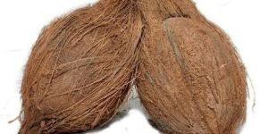 Semi Husked Coconut