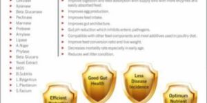 Layrs Beta Poultry Feed