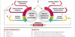 Layrs Grow Poultry Feed Supplements