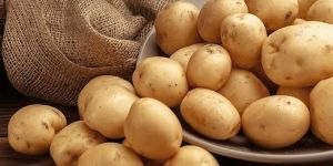 Fresh Potato - all variety