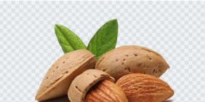 Mamra Kashmiri Almond Kernel