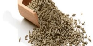 Cumin Seed