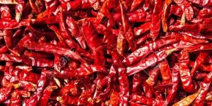 Dry Red Chillies