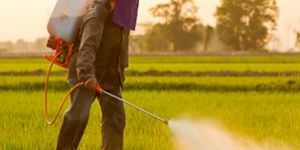 Insecticides
