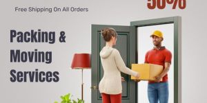 Packers Movers