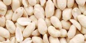 Blanched Peanuts