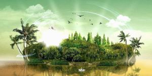 Luxury Wildlife Tours