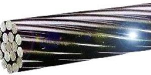ACSR Conductors
