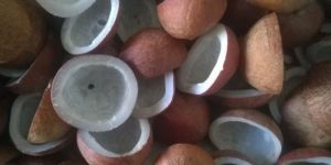 Dried Copra Coconut