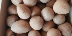 Ball Coconut Copra
