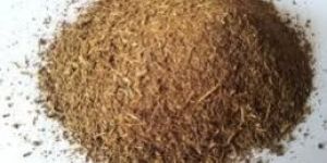 Insulin Plant Leaves Tea