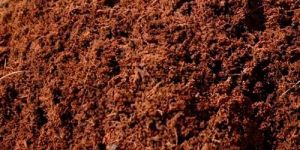 Coco Peat Manure