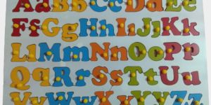 TE-13 Abc Capital and Small Alphabet Letter Puzzle