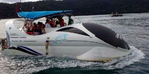 Cruise Ticketing Services